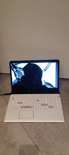 Sony vaio sve171g12m intel - vaio,